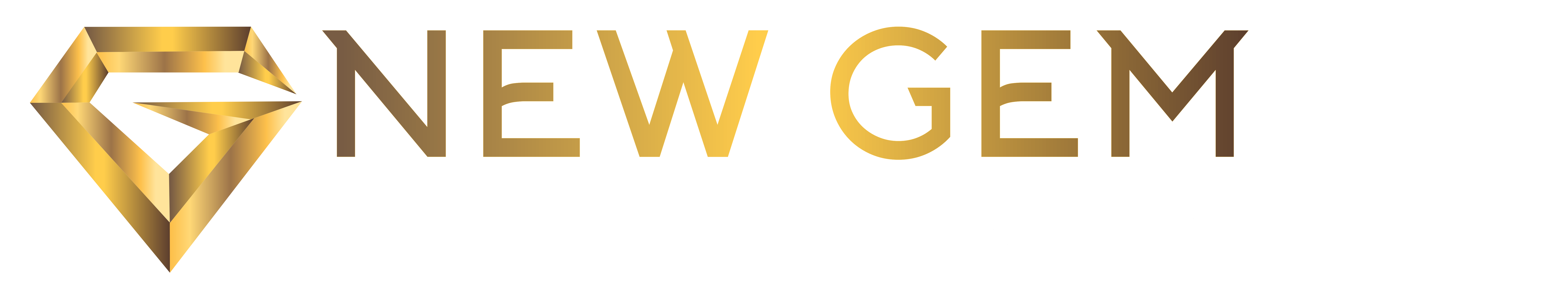 New Gem School